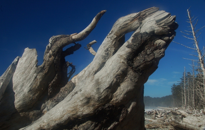 Rialto Beach, north of Forks